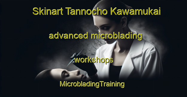 Skinart Tannocho Kawamukai advanced microblading workshops | #MicrobladingTraining #MicrobladingClasses #SkinartTraining-Japan