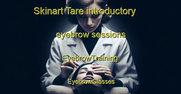 Skinart Tare introductory eyebrow sessions | EyebrowTraining | EyebrowClasses | SkinartTraining-Japan
