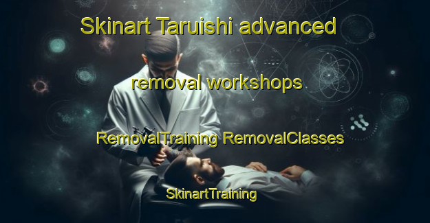 Skinart Taruishi advanced removal workshops | #RemovalTraining #RemovalClasses #SkinartTraining-Japan