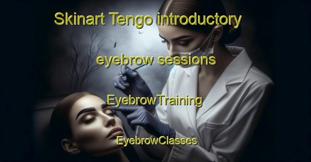 Skinart Tengo introductory eyebrow sessions | EyebrowTraining | EyebrowClasses | SkinartTraining-Japan