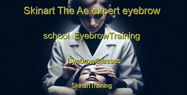 Skinart The Ae expert eyebrow school | EyebrowTraining | EyebrowClasses | SkinartTraining-Japan