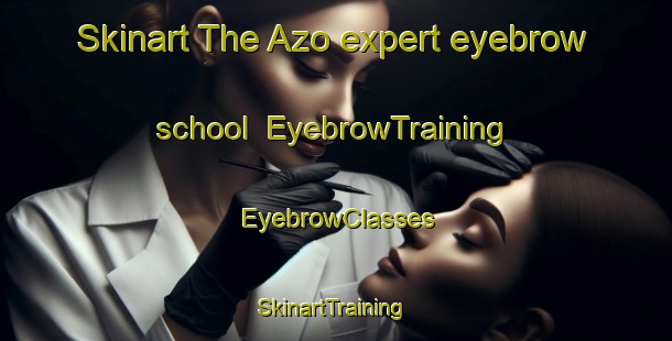 Skinart The Azo expert eyebrow school | EyebrowTraining | EyebrowClasses | SkinartTraining-Japan