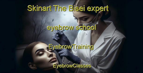 Skinart The Bisei expert eyebrow school | EyebrowTraining | EyebrowClasses | SkinartTraining-Japan