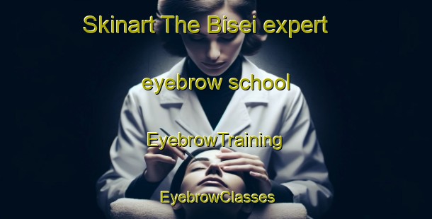 Skinart The Bisei expert eyebrow school | EyebrowTraining | EyebrowClasses | SkinartTraining-Japan