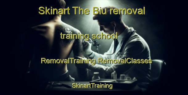 Skinart The Biu removal training school | #RemovalTraining #RemovalClasses #SkinartTraining-Japan