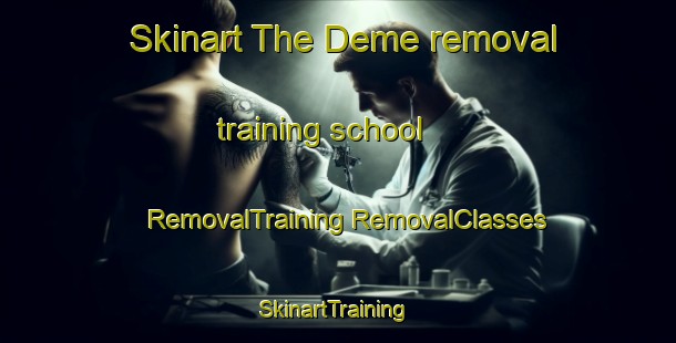 Skinart The Deme removal training school | #RemovalTraining #RemovalClasses #SkinartTraining-Japan