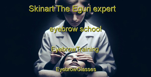 Skinart The Eguri expert eyebrow school | EyebrowTraining | EyebrowClasses | SkinartTraining-Japan