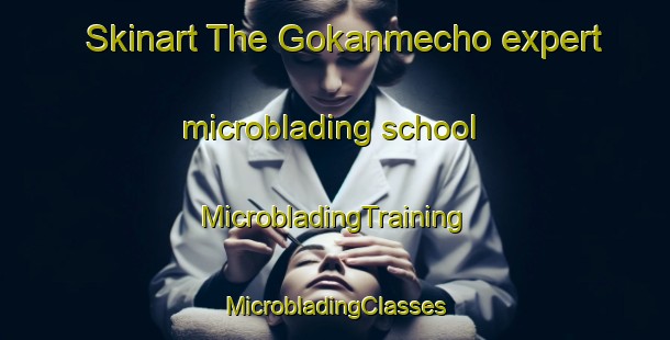 Skinart The Gokanmecho expert microblading school | #MicrobladingTraining #MicrobladingClasses #SkinartTraining-Japan