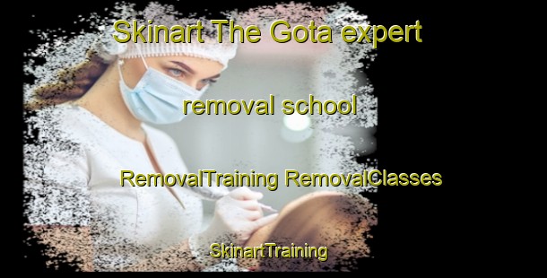 Skinart The Gota expert removal school | #RemovalTraining #RemovalClasses #SkinartTraining-Japan