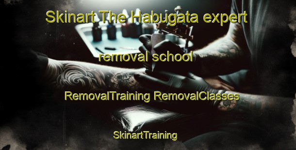 Skinart The Habugata expert removal school | #RemovalTraining #RemovalClasses #SkinartTraining-Japan