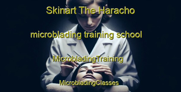 Skinart The Haracho microblading training school | MicrobladingTraining | MicrobladingClasses | SkinartTraining-Japan