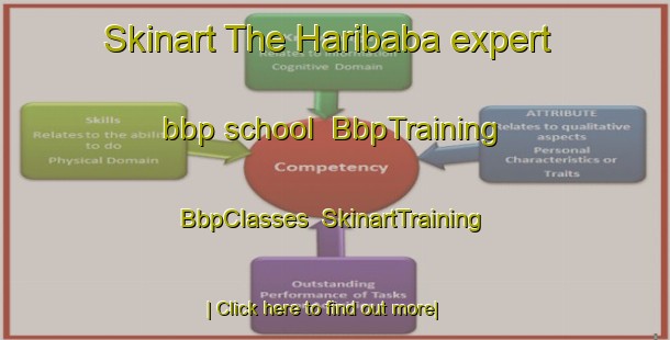 Skinart The Haribaba expert bbp school | BbpTraining | BbpClasses | SkinartTraining-Japan
