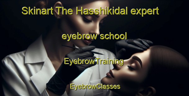 Skinart The Hasshikidal expert eyebrow school | EyebrowTraining | EyebrowClasses | SkinartTraining-Japan