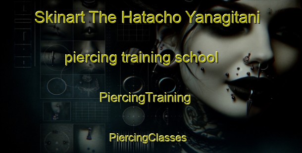 Skinart The Hatacho Yanagitani piercing training school | PiercingTraining | PiercingClasses | SkinartTraining-Japan