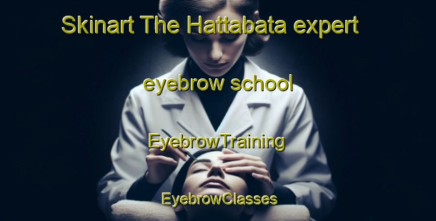 Skinart The Hattabata expert eyebrow school | EyebrowTraining | EyebrowClasses | SkinartTraining-Japan
