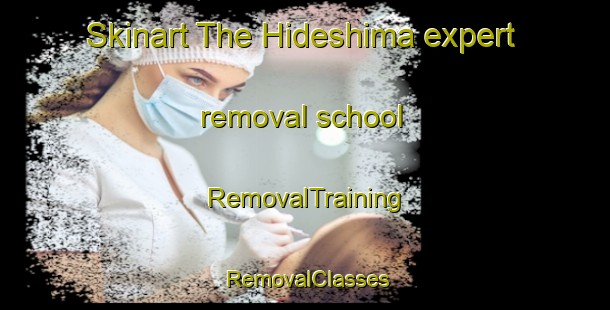 Skinart The Hideshima expert removal school | RemovalTraining | RemovalClasses | SkinartTraining-Japan