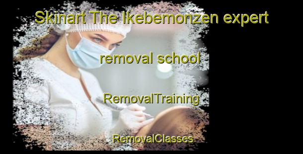 Skinart The Ikebemonzen expert removal school | RemovalTraining | RemovalClasses | SkinartTraining-Japan