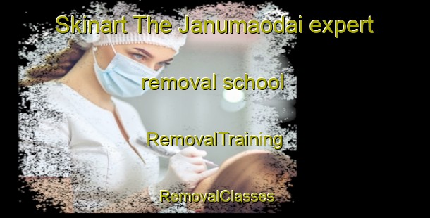 Skinart The Janumaodai expert removal school | RemovalTraining | RemovalClasses | SkinartTraining-Japan
