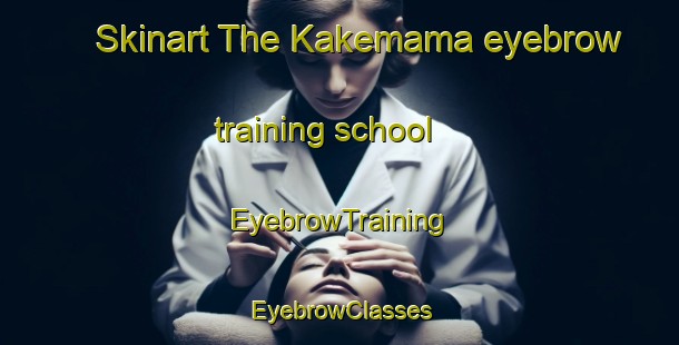 Skinart The Kakemama eyebrow training school | EyebrowTraining | EyebrowClasses | SkinartTraining-Japan