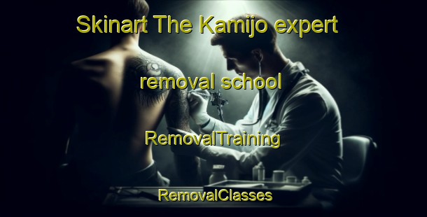 Skinart The Kamijo expert removal school | RemovalTraining | RemovalClasses | SkinartTraining-Japan