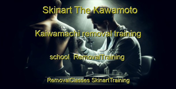 Skinart The Kawamoto Kaiwamachi removal training school | #RemovalTraining #RemovalClasses #SkinartTraining-Japan