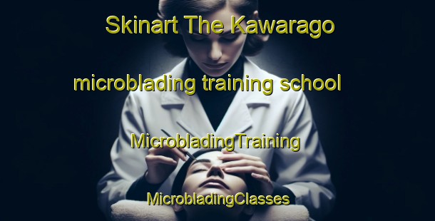 Skinart The Kawarago microblading training school | #MicrobladingTraining #MicrobladingClasses #SkinartTraining-Japan