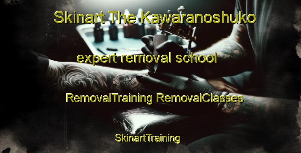 Skinart The Kawaranoshuko expert removal school | #RemovalTraining #RemovalClasses #SkinartTraining-Japan