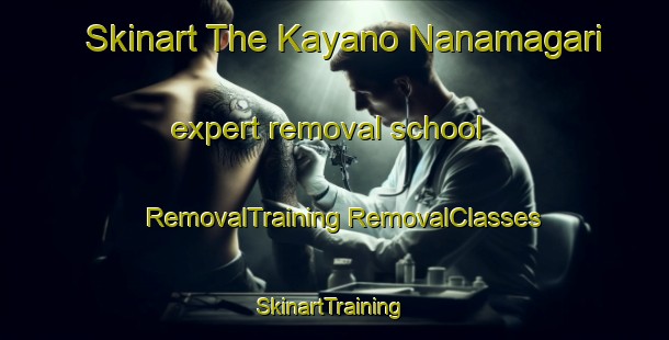 Skinart The Kayano Nanamagari expert removal school | #RemovalTraining #RemovalClasses #SkinartTraining-Japan