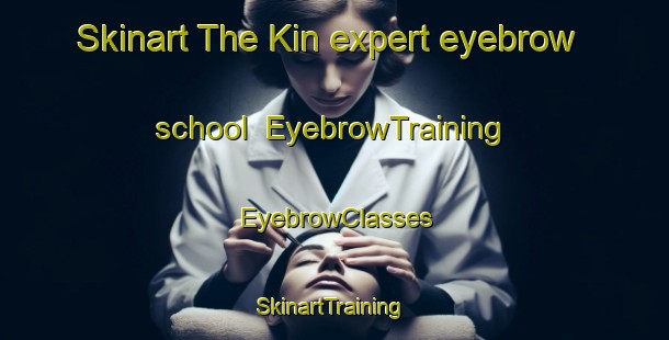 Skinart The Kin expert eyebrow school | EyebrowTraining | EyebrowClasses | SkinartTraining-Japan