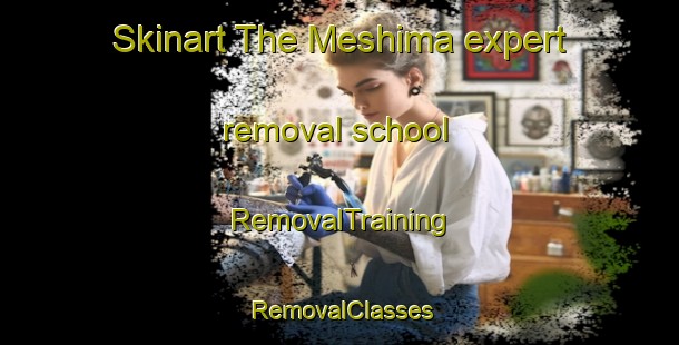 Skinart The Meshima expert removal school | RemovalTraining | RemovalClasses | SkinartTraining-Japan