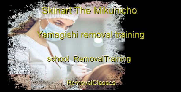 Skinart The Mikunicho Yamagishi removal training school | RemovalTraining | RemovalClasses | SkinartTraining-Japan