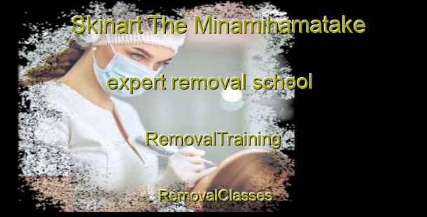 Skinart The Minamihamatake expert removal school | RemovalTraining | RemovalClasses | SkinartTraining-Japan