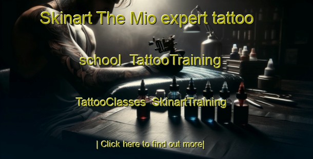 Skinart The Mio expert tattoo school | TattooTraining | TattooClasses | SkinartTraining-Japan