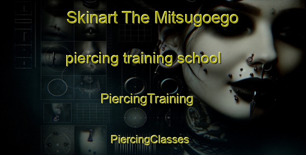 Skinart The Mitsugoego piercing training school | PiercingTraining | PiercingClasses | SkinartTraining-Japan