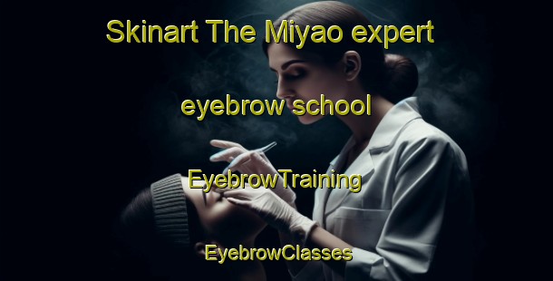 Skinart The Miyao expert eyebrow school | EyebrowTraining | EyebrowClasses | SkinartTraining-Japan