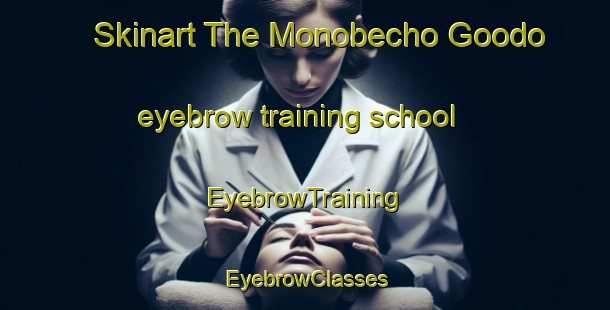 Skinart The Monobecho Goodo eyebrow training school | EyebrowTraining | EyebrowClasses | SkinartTraining-Japan