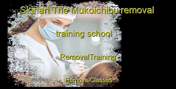 Skinart The Mukoichibu removal training school | RemovalTraining | RemovalClasses | SkinartTraining-Japan