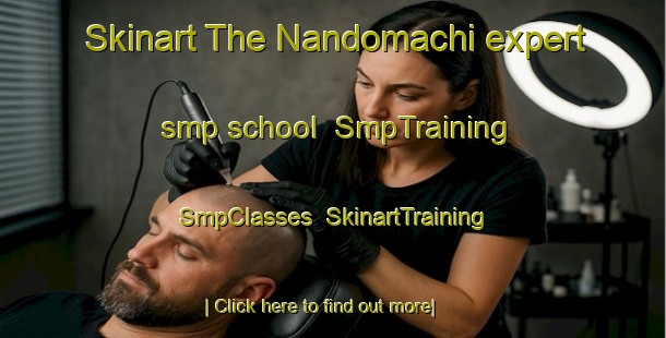 Skinart The Nandomachi expert smp school | SmpTraining | SmpClasses | SkinartTraining-Japan