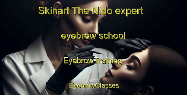 Skinart The Nido expert eyebrow school | EyebrowTraining | EyebrowClasses | SkinartTraining-Japan