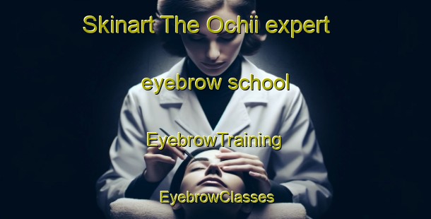 Skinart The Ochii expert eyebrow school | EyebrowTraining | EyebrowClasses | SkinartTraining-Japan