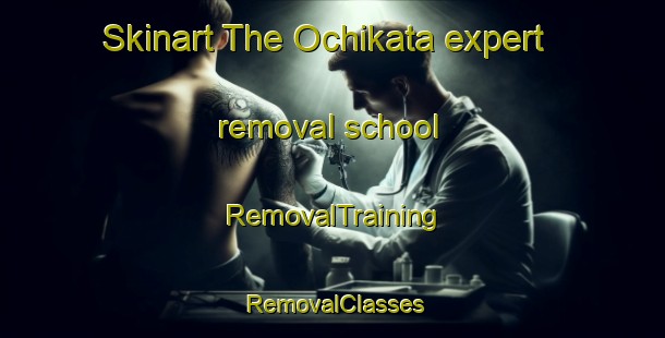 Skinart The Ochikata expert removal school | RemovalTraining | RemovalClasses | SkinartTraining-Japan