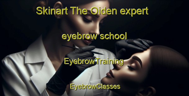 Skinart The Oiden expert eyebrow school | EyebrowTraining | EyebrowClasses | SkinartTraining-Japan