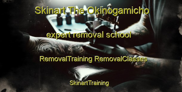 Skinart The Okinogamicho expert removal school | #RemovalTraining #RemovalClasses #SkinartTraining-Japan