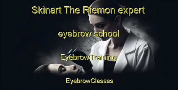 Skinart The Riemon expert eyebrow school | EyebrowTraining | EyebrowClasses | SkinartTraining-Japan