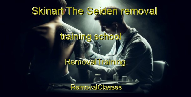 Skinart The Seiden removal training school | RemovalTraining | RemovalClasses | SkinartTraining-Japan