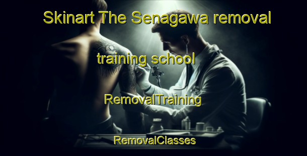 Skinart The Senagawa removal training school | RemovalTraining | RemovalClasses | SkinartTraining-Japan