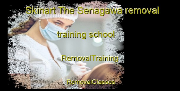 Skinart The Senagawa removal training school | RemovalTraining | RemovalClasses | SkinartTraining-Japan