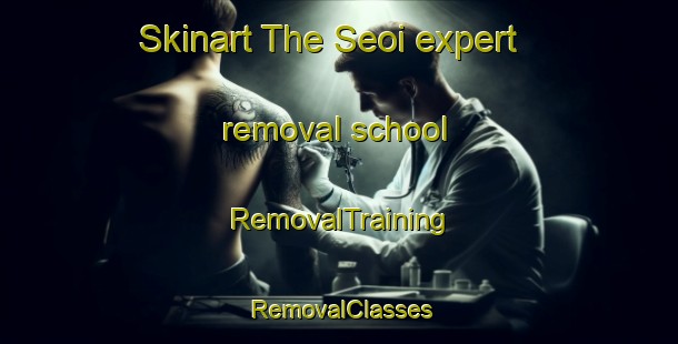 Skinart The Seoi expert removal school | RemovalTraining | RemovalClasses | SkinartTraining-Japan