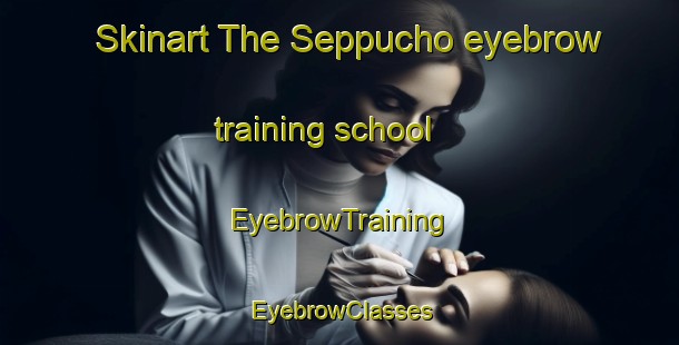 Skinart The Seppucho eyebrow training school | EyebrowTraining | EyebrowClasses | SkinartTraining-Japan