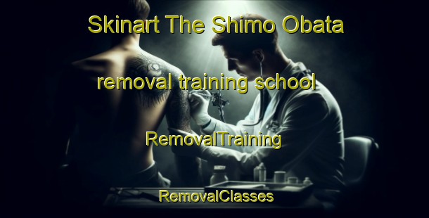 Skinart The Shimo Obata removal training school | RemovalTraining | RemovalClasses | SkinartTraining-Japan